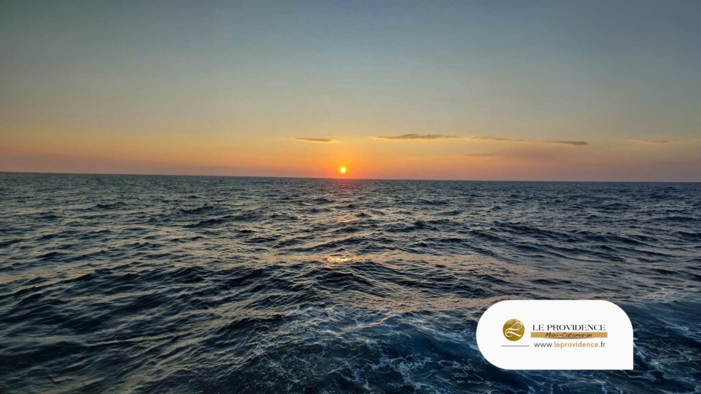 croisière repas inoubliable en camargue